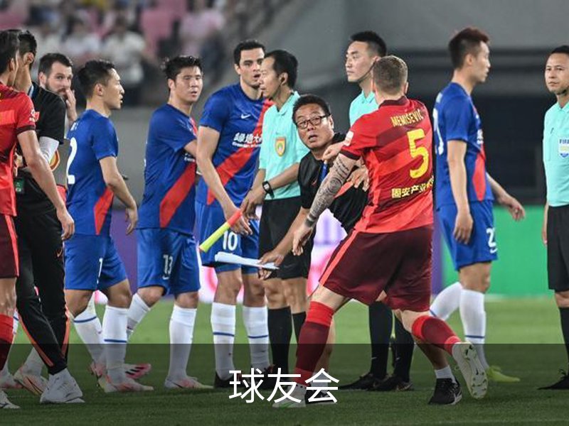 球友会概况