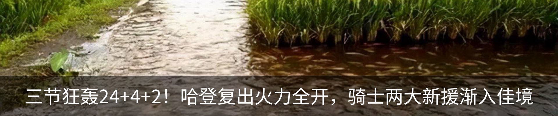 最新动态