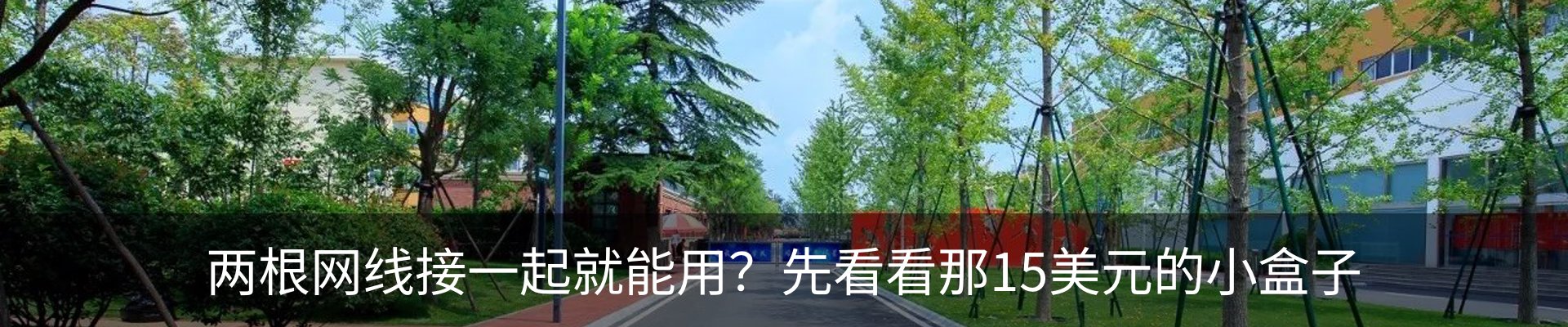 最新动态