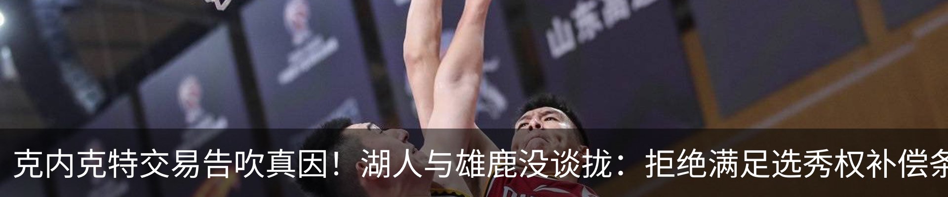 最新动态