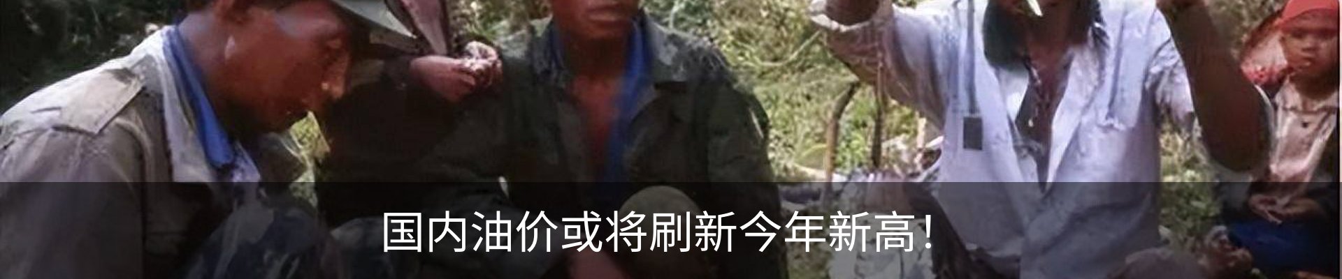 最新动态