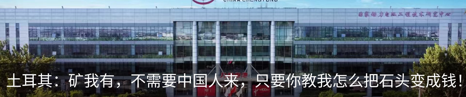最新动态