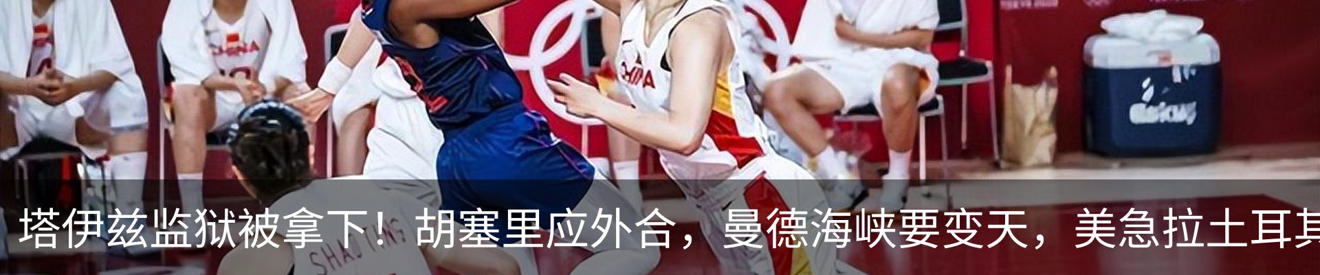 最新动态