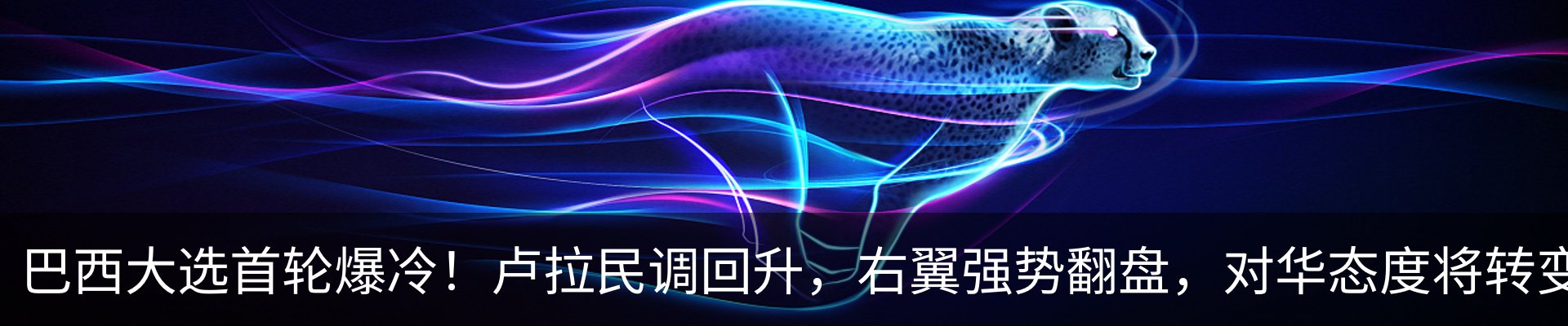 最新动态