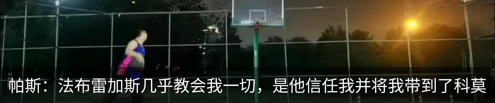 最新动态