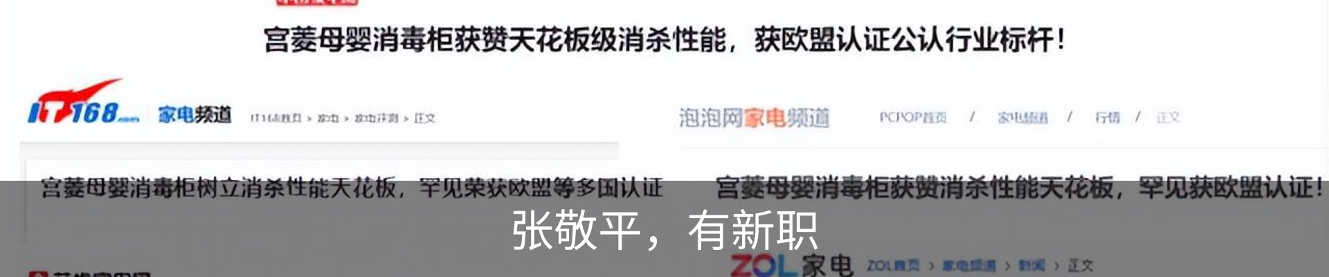 最新动态