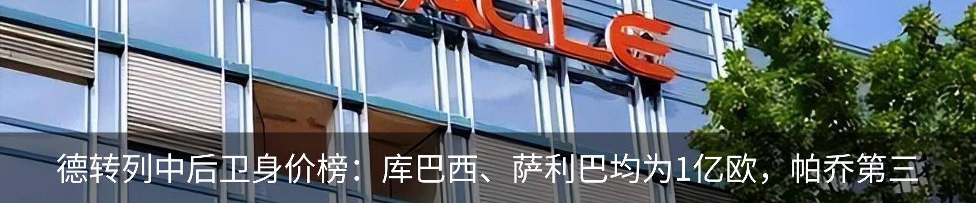 最新动态