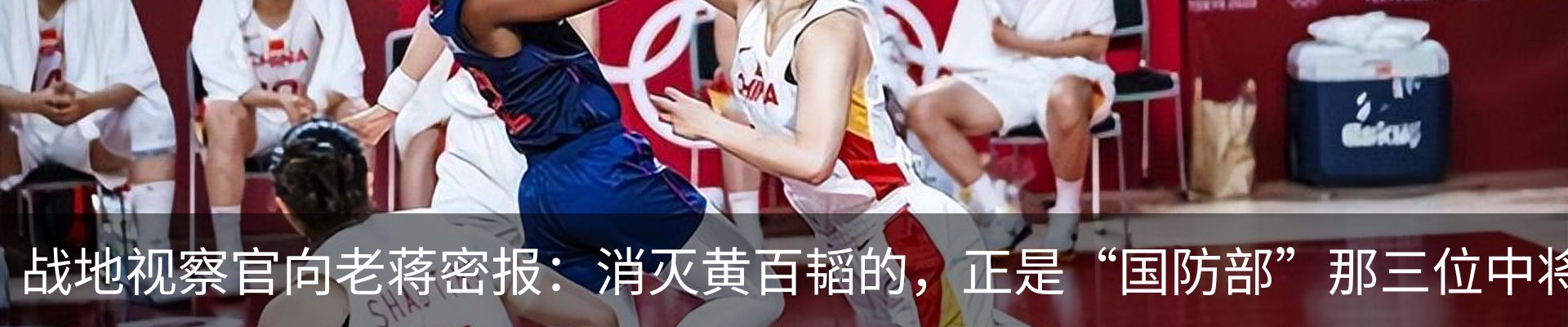 最新动态