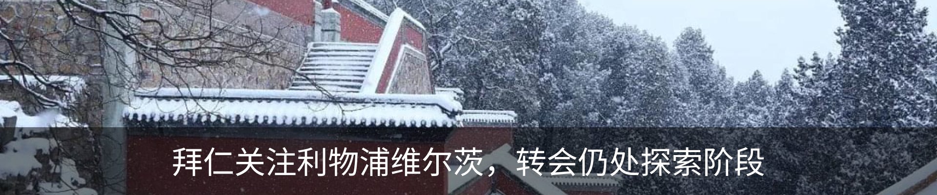 最新动态