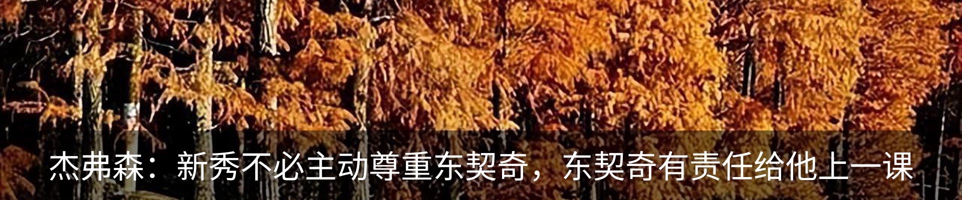 最新动态