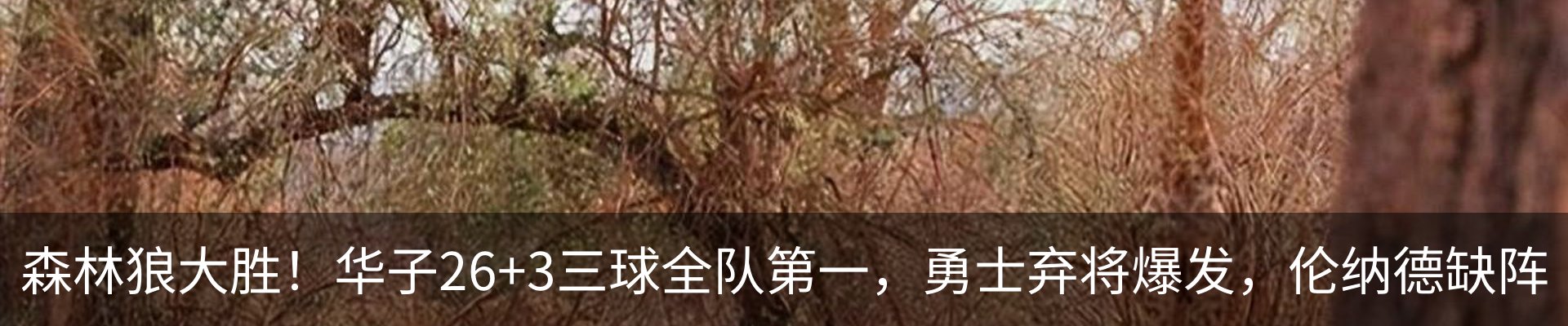最新动态