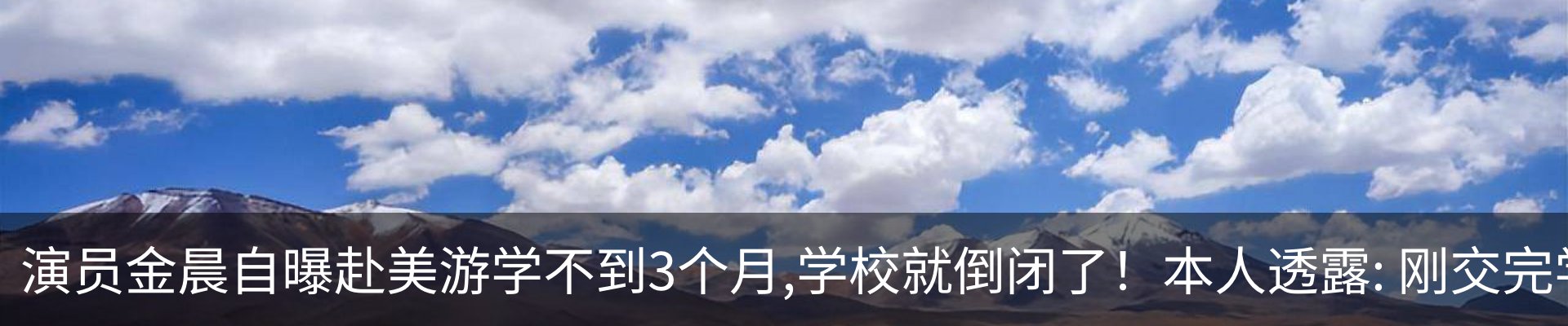 最新动态