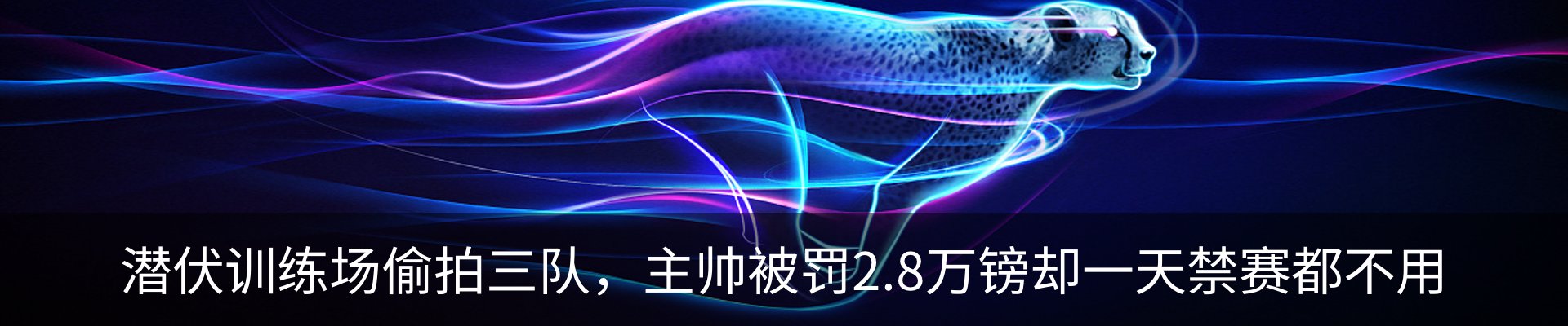 最新动态