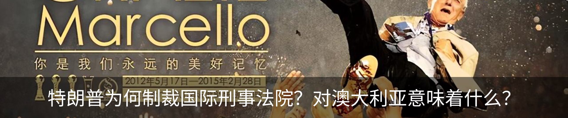 最新动态