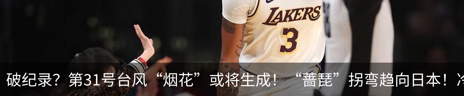 最新动态