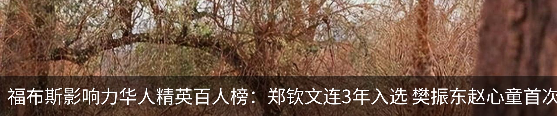最新动态