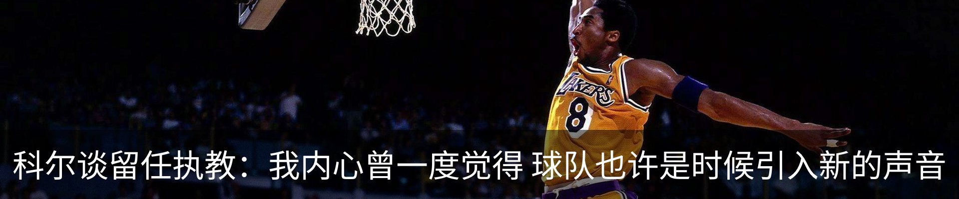 最新动态
