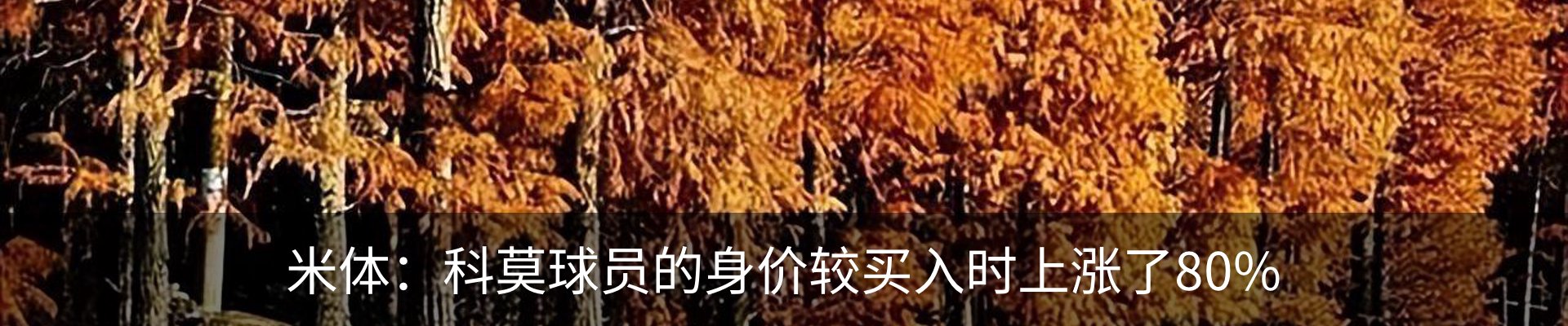 最新动态