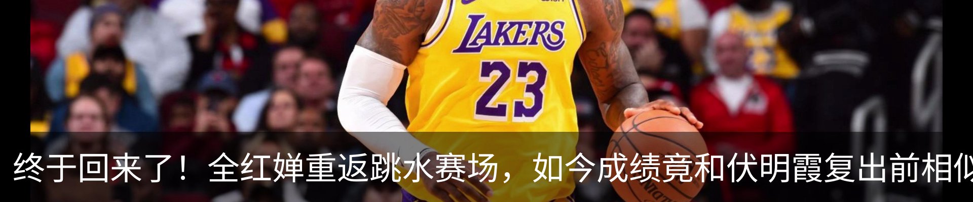 最新动态