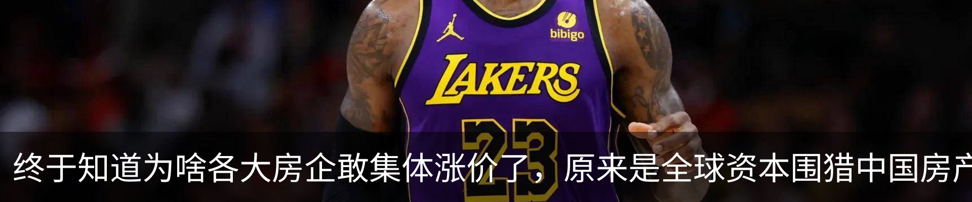最新动态