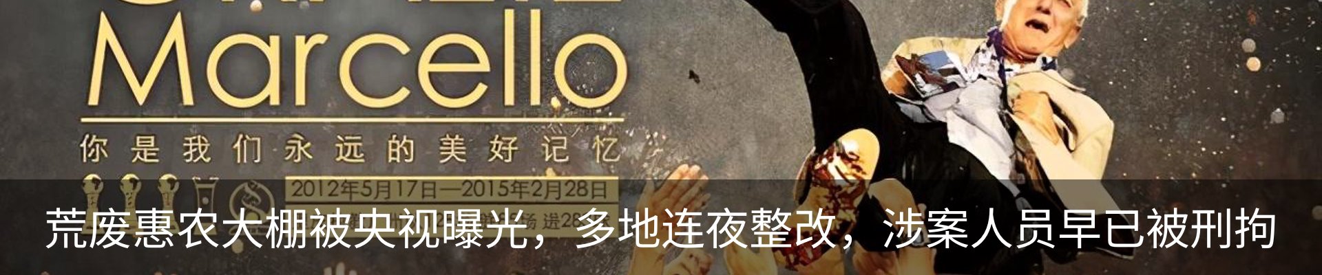 最新动态