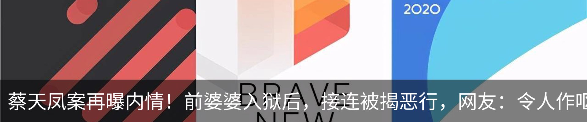 最新动态