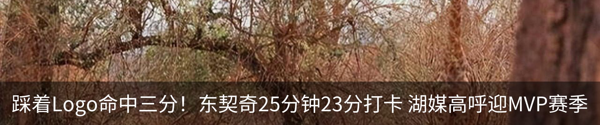 最新动态