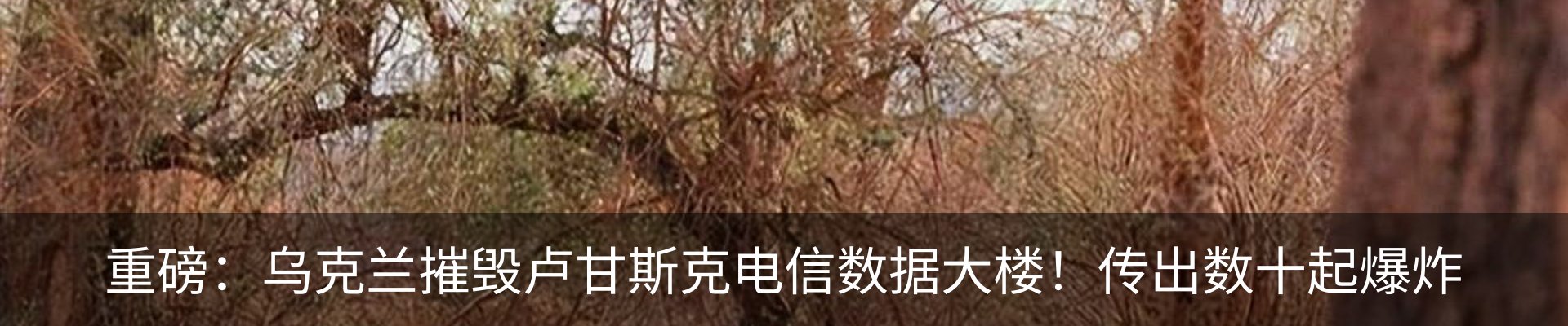 最新动态