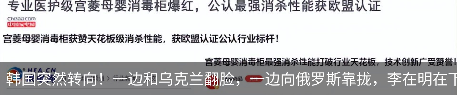 最新动态