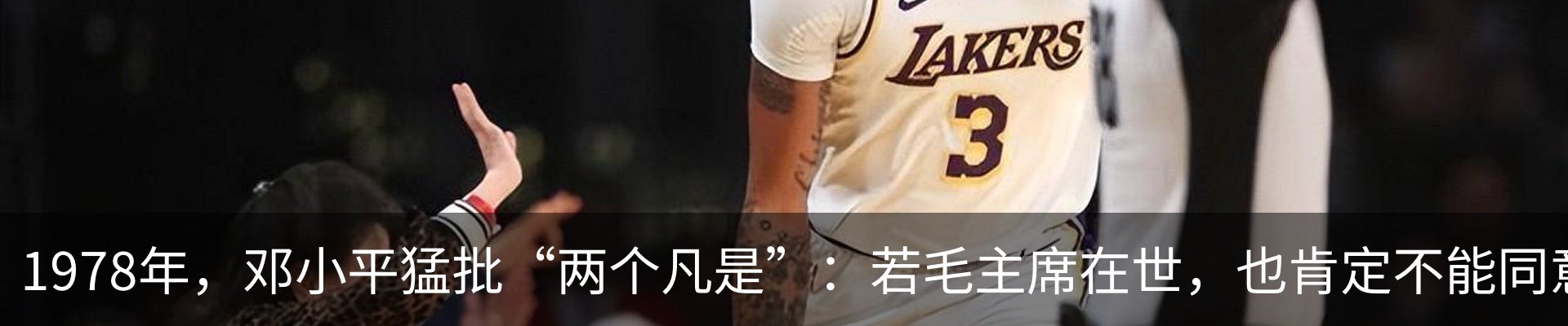 最新动态