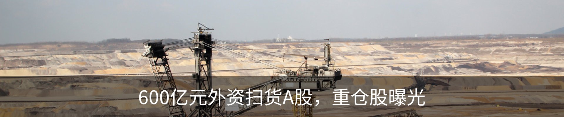 最新动态