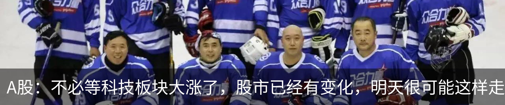 最新动态