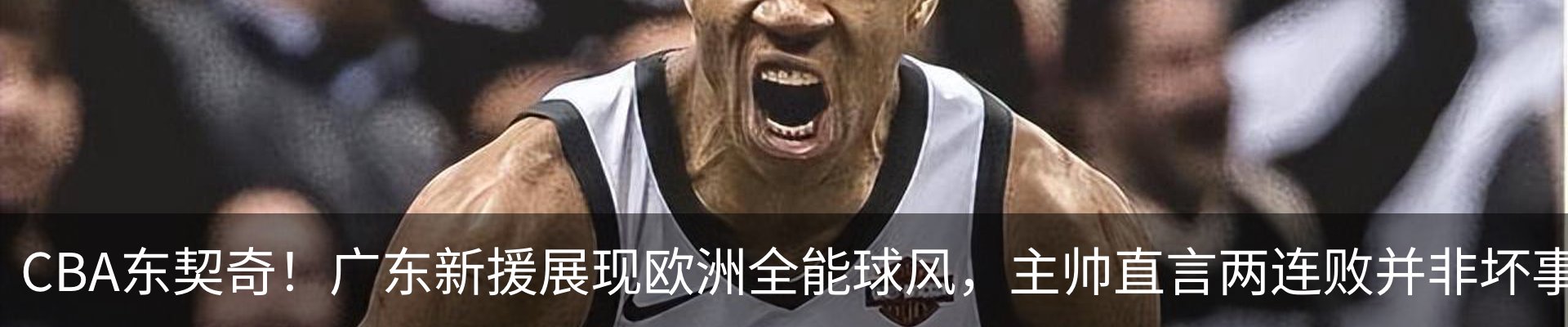 最新动态