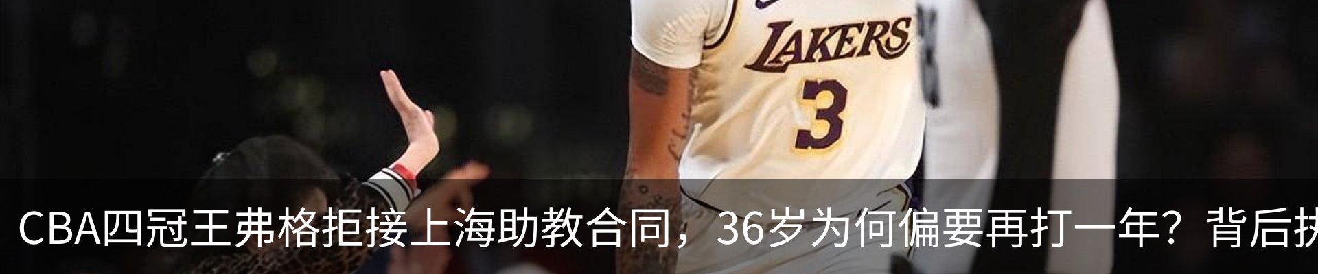 最新动态